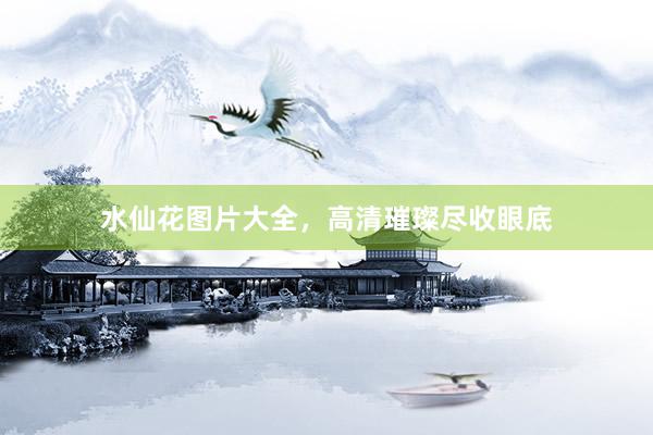 水仙花图片大全，高清璀璨尽收眼底